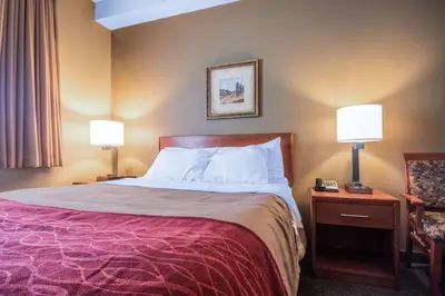 a hotel room with a large bed with two lamps at Comfort Inn & Suites in Langley