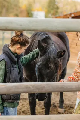 a young girl petting a brown horse by a fence at Myra Canyon Guest Ranch in Kelowna