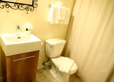 a bathroom with a white toilet and a sink at Hotel Squamish in Squamish