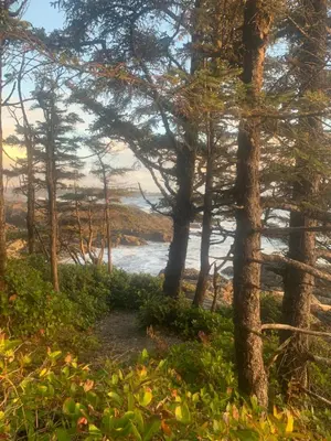 a path through a forest next to a body of water at Le Chalet Waterfront Retreat in Ucluelet