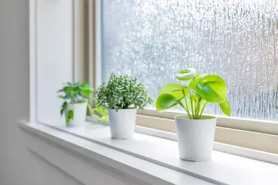 three potted plants sitting on a window sill at Minimal - 90 nights min in Vancouver