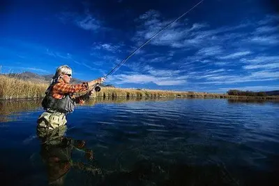 a man is standing in the water holding a fishing rod at Williston Lake Resort in Hudson Hope