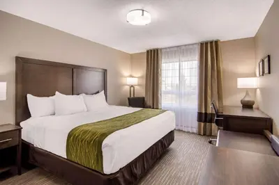 a hotel room with a large bed and a window at Comfort Inn & Suites in Red Deer