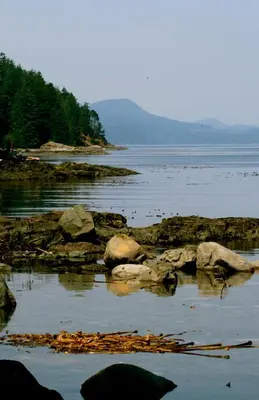 a large body of water with rocks and trees at Brown's Bay Resort in Campbell River