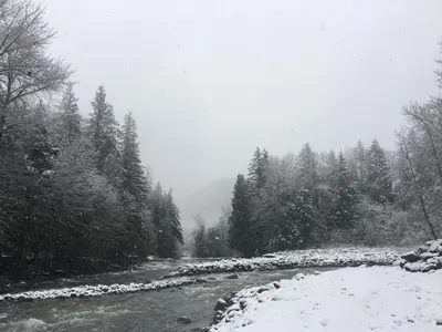 a river with snow on the ground next to trees at Sunwolf Riverside Cabins in Brackendale