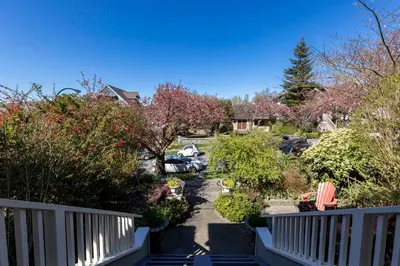 a view of a yard with trees and cars at The Ivy on Parker Guest House in Vancouver