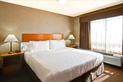 a hotel room with a large bed and a window at Canalta Brooks in Brooks