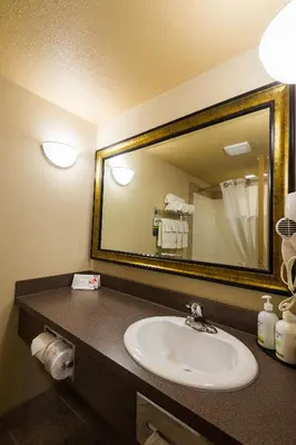 a bathroom with a sink and a large mirror at Canalta Provost in Provost