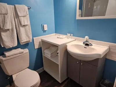 a bathroom with a white sink and a toilet at Metro Inn in Victoria