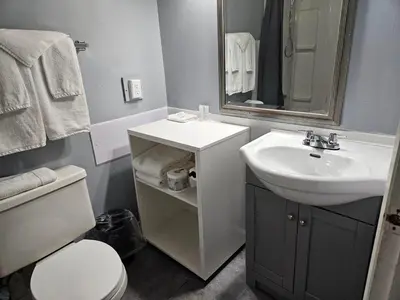 a bathroom with a sink and a toilet and a mirror at Metro Inn in Victoria