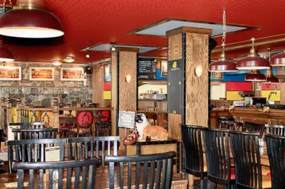a restaurant with chairs and a dog sitting on a counter at The Bulldog Hotel in Silver Star