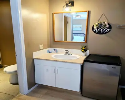 a bathroom with a sink and a mirror at Skimmerhorn Inn in Creston