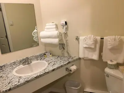 a bathroom with a sink and a mirror and towels at Wessex Inn By The Sea in Cowichan Bay