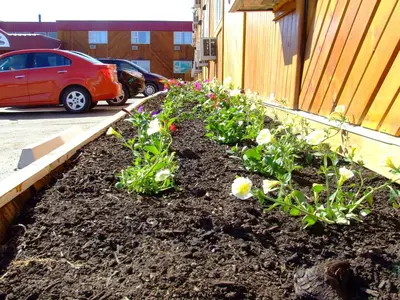 a garden with flowers in the dirt next to a building at The Yukon Inn in Whitehorse