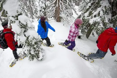 a group of people on skis in the snow at Trappers Landing #11 By Bear Country in Sun Peaks