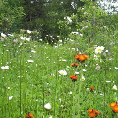 Wild Nature B&B