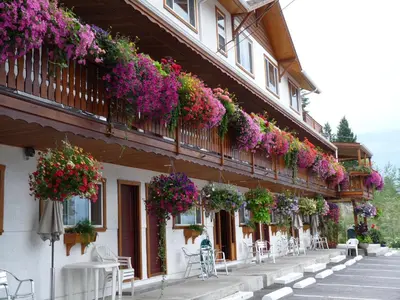 a building with flowers on the side of it at Gateway Motel in Radium Hot Springs