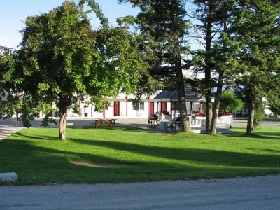a park with a tree and a bench in the grass at Mountain Springs Motel in Radium Hot Springs