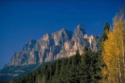 a mountain in the distance with trees in the foreground at HI Castle Mountain - Hostel in Castle Junction