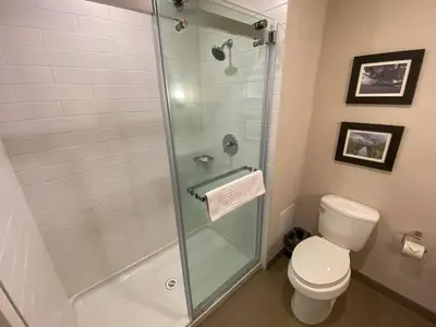 a bathroom with a toilet and a glass shower at Comfort Inn & Suites in Valemount
