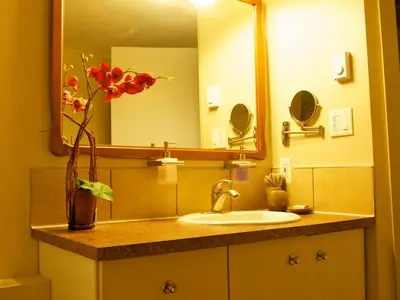 a bathroom sink with a mirror and a vase with flowers at YPC Fitness & Accomodations in Invermere