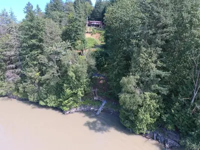 an aerial view of a forest with a house in the background at The Fraser River's Edge B&B Lodge in Chilliwack