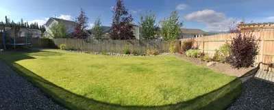 a yard with a fence and a green lawn at 1st Choice Bed and Breakfast in Whitehorse