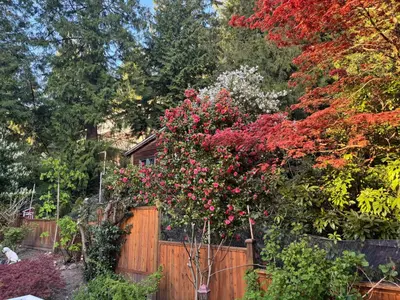 a wooden fence with a bunch of flowers at Beautiful Two Bedroom Suite in North Vancouver