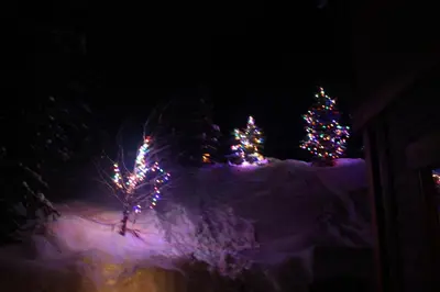 a group of christmas trees in the snow at night at Woodhaven # 8 in Sun Peaks in Sun Peaks