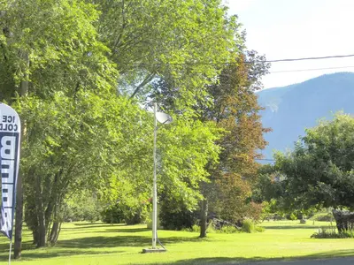 a street light in the middle of a field with trees at Rivermount Motel in Little Fort