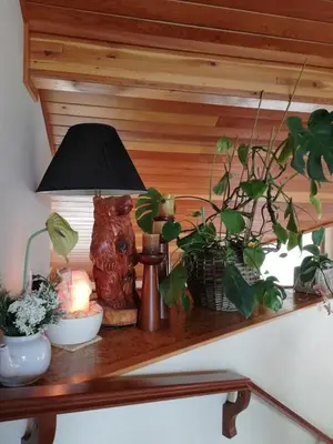 a shelf with a lamp and plants on it at High Hopes Bed and Breakfast in Hope