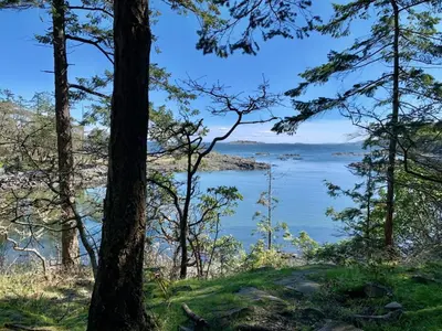 a view of a body of water through trees at A Cozy Family get away suite in South Nanaimo in Nanaimo