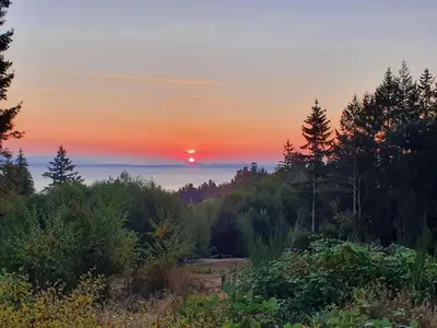 a sunset from the top of a hill with trees at Forest by the Sea Rentals in Merville