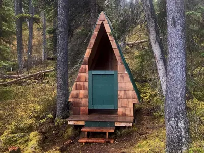 a tree house in the middle of a forest at Vines and Puppies Glamping Hideaway in Jade City