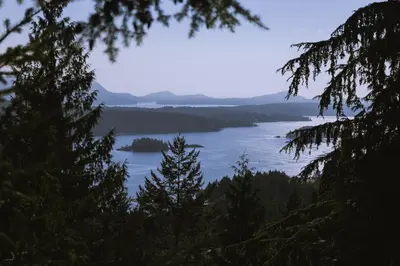 a view of a lake through the trees at The Sanctuary Retreat Salt Spring Island in Salt Spring Island