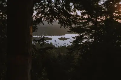 a view of a lake through the trees at The Sanctuary Retreat Salt Spring Island in Salt Spring Island