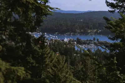 a view of a lake through the trees at The Sanctuary Retreat Salt Spring Island in Salt Spring Island