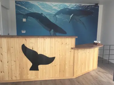 a mural of three dolphins on a wall at Humpback Inn in Port McNeill