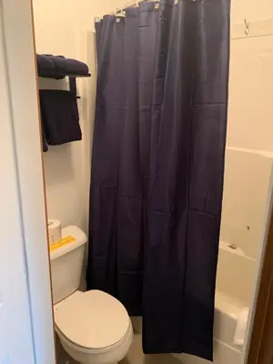 a bathroom with a toilet and a blue shower curtain at Peaks Lodge in Revelstoke