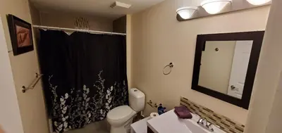 a bathroom with a toilet and a sink and a mirror at Parson Creek Retreat in Fort McMurray