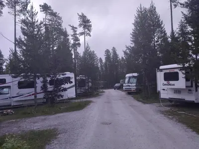 a dirt road with two rvs parked next to trees at Blue River Campgrounds & Cabin-public washroom in Blue River