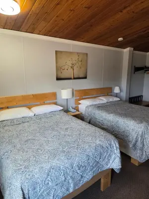 a bedroom with two beds and a painting on the wall at Bio Vista Motel in Wainwright