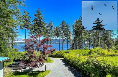 a walkway leading to a lake with a tree at Manna House in Denman Island