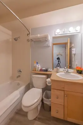 a bathroom with a toilet and a sink and a tub at Windtower Lodge - Canmore in Canmore