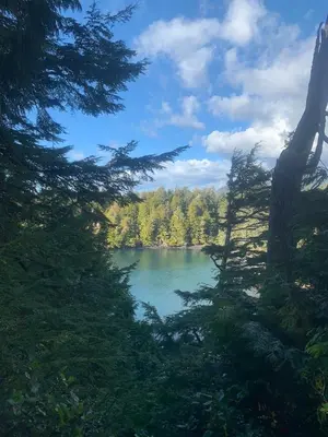 a view of a lake between two trees at Le Chalet Waterfront Studio Suite, View, Patio, Kitchen in Ucluelet