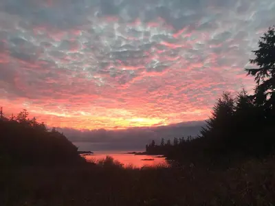 a sunset over a body of water with trees at Le Chalet Waterfront Studio Suite, View, Patio, Kitchen in Ucluelet