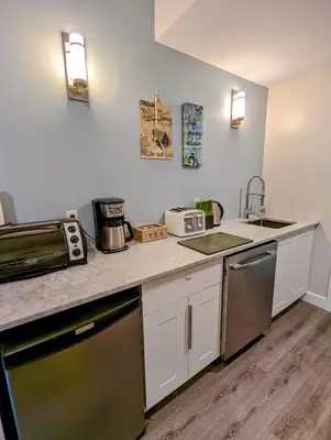 a kitchen with a counter with a sink and a stove at Maple Rise Guesthouse in Duncan