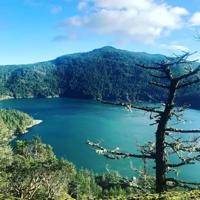 a view of a lake in the mountains at Maple Rise Guesthouse in Duncan