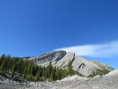 a mountain with trees in front of it at Apartment 411, Antique Heritage in Canmore