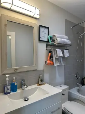 a bathroom with a sink and a mirror and a toilet at K STREET CARRIAGE HOUSE Studio in Penticton
